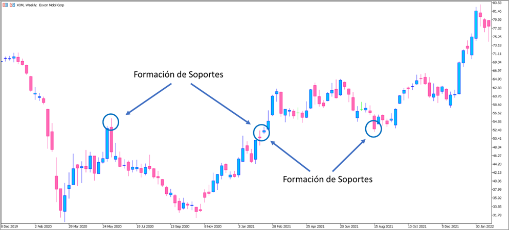 Formación de Niveles de Soporte