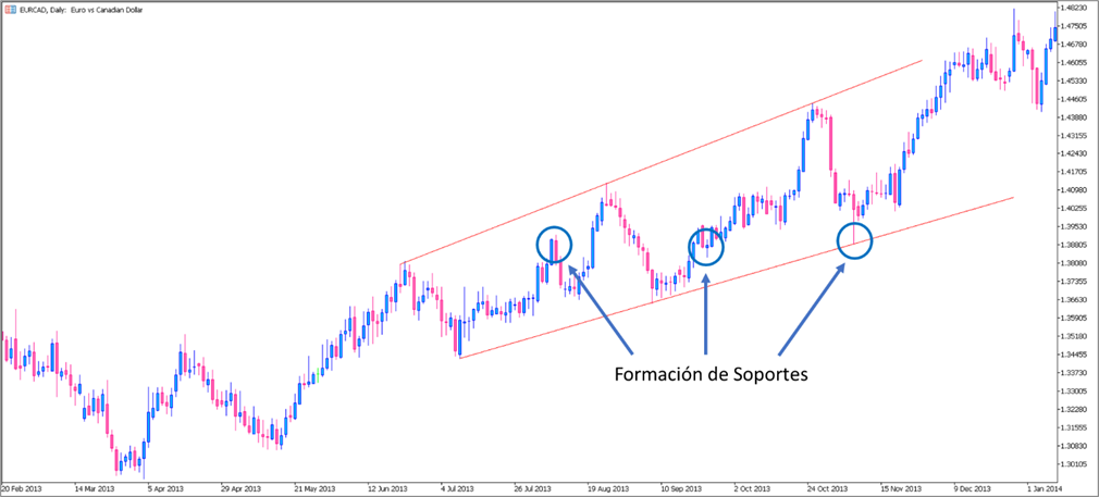 Formación de Niveles de Soporte